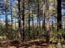 41 Kingfisher Trace 100 sold home in Nebo, SC