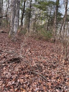 0 Wilmont Drive sold lot in Woodlawn, Hendersonville, NC