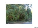 21277 Summerbrook Drive 3 sold home in Cornelius, SC