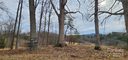 52 Sweet Fern Parkway 58 sold home in Asheville, SC