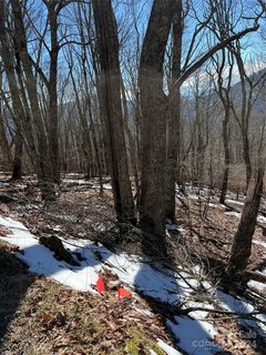 00 Tearshirt Lane 316 sold home in Wolf Laurel Heights, Mars Hill, NC