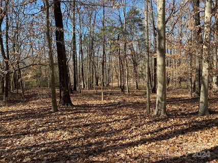 611 Mystic Way Lane sold lot in Rock Springs, Waxhaw, NC