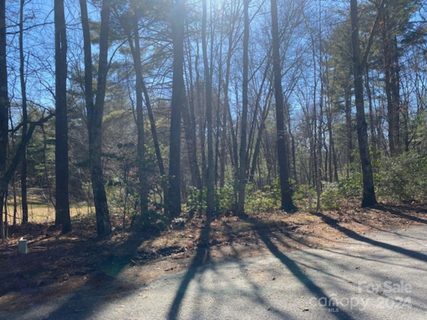 99999 Four Oaks Drive sold lot in Alexander Acres, Arden, NC