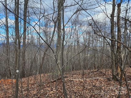 48 Peseco Drive sold lot in The Summit, Bostic, NC