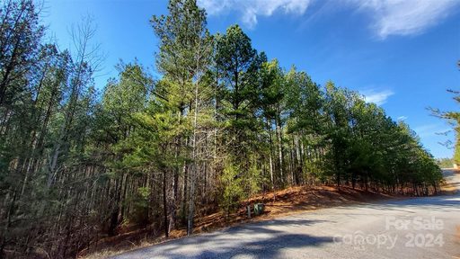 0 Sunset Drive active home in Hillcrest, Mill Spring, NC