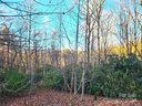 0 Campbell Drive sold home in Pisgah Forest, SC