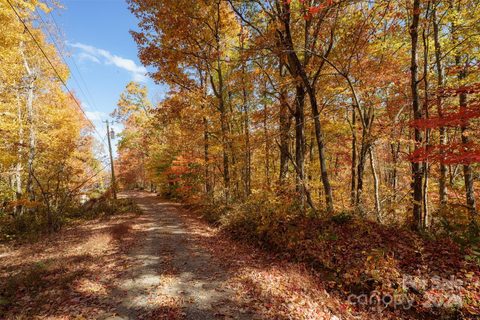 99999 Chestnut Drive sold lot in Meadow View Estates, Leicester, NC