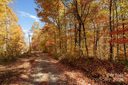 99999 Chestnut Drive sold home in Leicester, SC