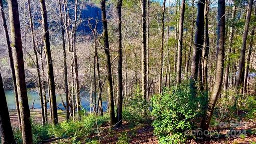 4 6 Acres Lots 126a 127a Sunset Creek Lane 126A & 127A