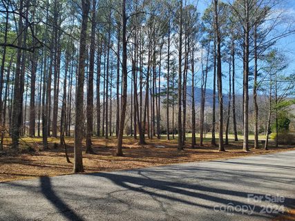 0 Fox Briar Drive 4 sold lot in Meadowbrook Farms, Columbus, NC