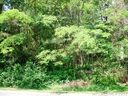 21265 Summerbrook Drive sold home in Cornelius, SC