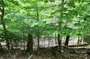 102 Blackberry Trail 235/C sold home in Beech Mountain, SC