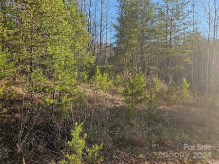 0 Gold Creek Point 09 sold home in High Lodges At Otter Creek, Union Mills, NC