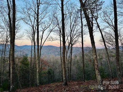 75 Raccoon Run active lot in French Broad Crossing, Marshall, NC