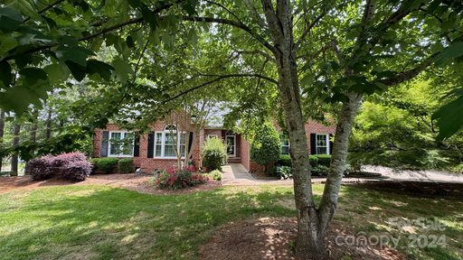 2501 Shaggy Bark Court