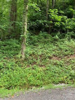 Lot 45 46 Mckenzie Way active lot in Gateway Mountain, Old Fort, NC