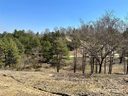 241 Westridge Farm Road 21 sold home in Asheville, SC