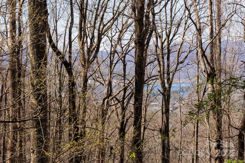 99999 Old Forest Drive 1C sold lot in Pinchot Forest, Asheville, NC
