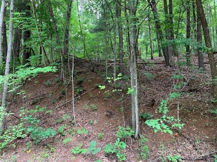Lot 49 50 Mckenzie Way active lot in Gateway Mountain, Old Fort, NC