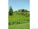 2941 Cabin Creek Drive 17 sold home in Catawba, SC