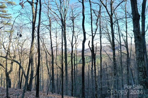0 Fire Tower Road 17