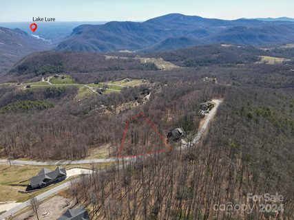 1233 Grand Oaks Drive sold home in Grand Oaks, Hendersonville, NC