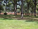 804 Huntington Park Drive sold home in Charlotte, SC