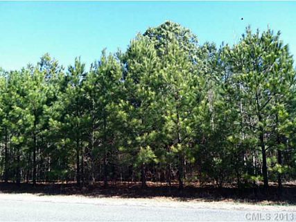 17 Cottonfield Circle Lot #17