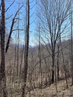 000 Trotters Trail sold home in Hills Of Cataloochee, Waynesville, NC