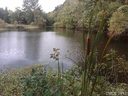 9310 Sonora Lane 105, 106 sold home in Davidson, SC