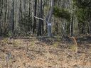 Lot 47 Beaver Dam Drive sold home in Monroe, SC