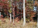 6069 Kimbrell Heights Drive sold home in Fort Mill, SC