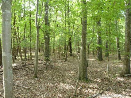 Lot 17 Pimlico Lane