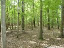 Lot 17 Pimlico Lane sold home in Waxhaw, SC