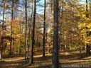 9262 Egret Ridge Drive 30 sold home in Belmont, SC
