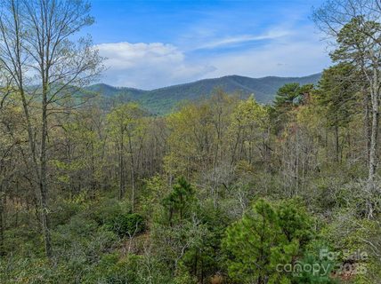 92 Smokey Ridge Trail