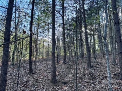 Tbd High Trail Drive 21B
