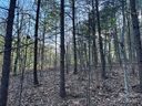 Tbd High Trail Drive 21B sold home in Nebo, SC