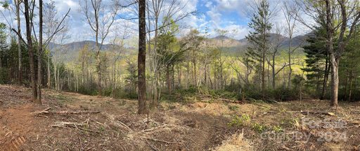 156 Kellerman Point 42 sold home in Firefly Cove, Lake Lure, NC