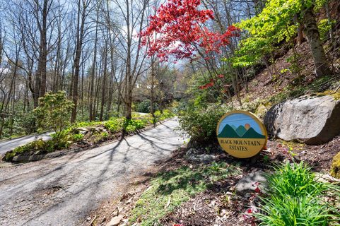 317 Chapel Road sold lot in Black Mountain Estates, Black Mountain, NC