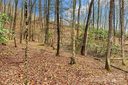 V L Hemlock Drive 131 sold home in Black Mountain, SC
