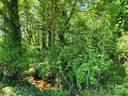 0 Crestview Drive sold home in Shelby, SC