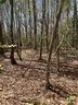 0 Fox Den Road sold home in Troy, SC