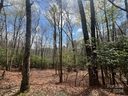 999 Sequoyah Woods Drive sold home in Brevard, SC