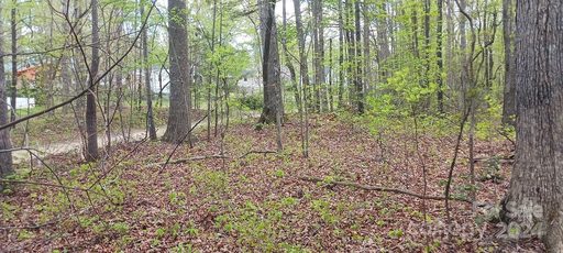 411 Shannon Loop