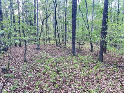 0 Beechwood Circle 34