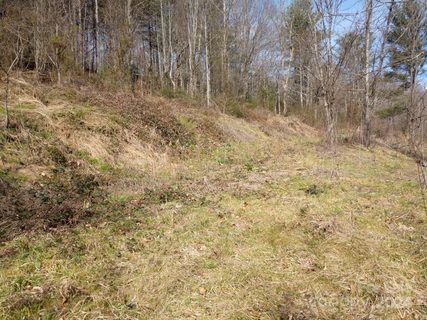 80 Walking Horse Trail 5 sold land listing in Hominy Fields, Candler, NC