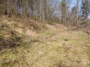 80 Walking Horse Trail 5 sold home in Candler, SC