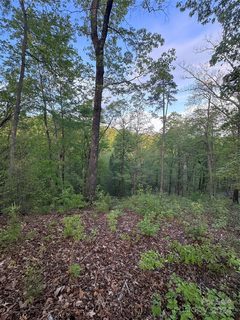 0 Willow Top Lane active home in Vista At Bills Mountain, Lake Lure, NC