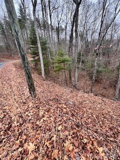 40 Bee Gum Ridge sold lot in Fontana View, Almond, NC